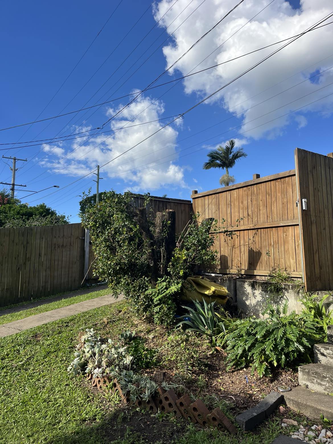 Tidy backyard with open sky after the large tree was removed and cut to a low stump