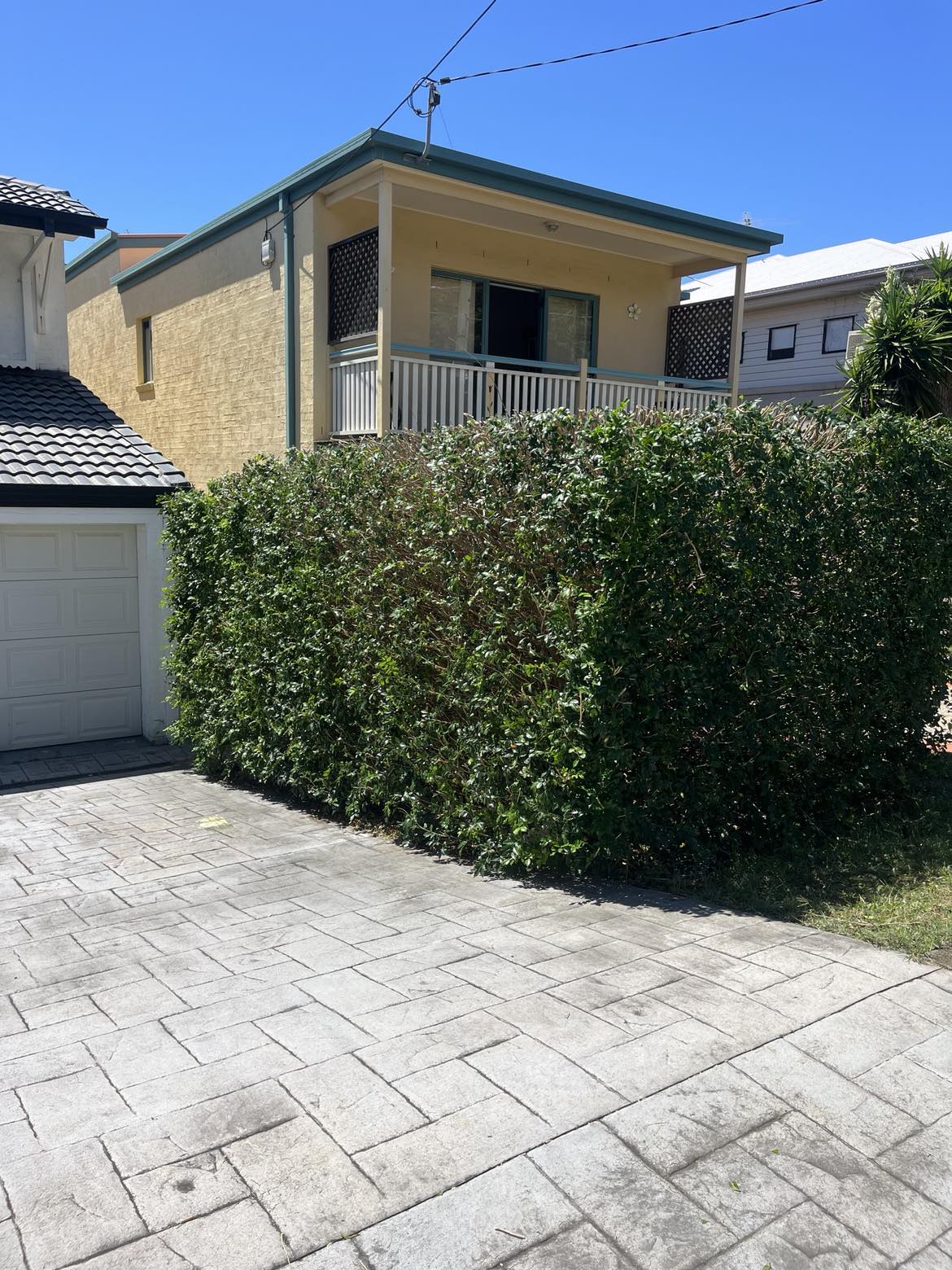 Hedge after trimming and shaping