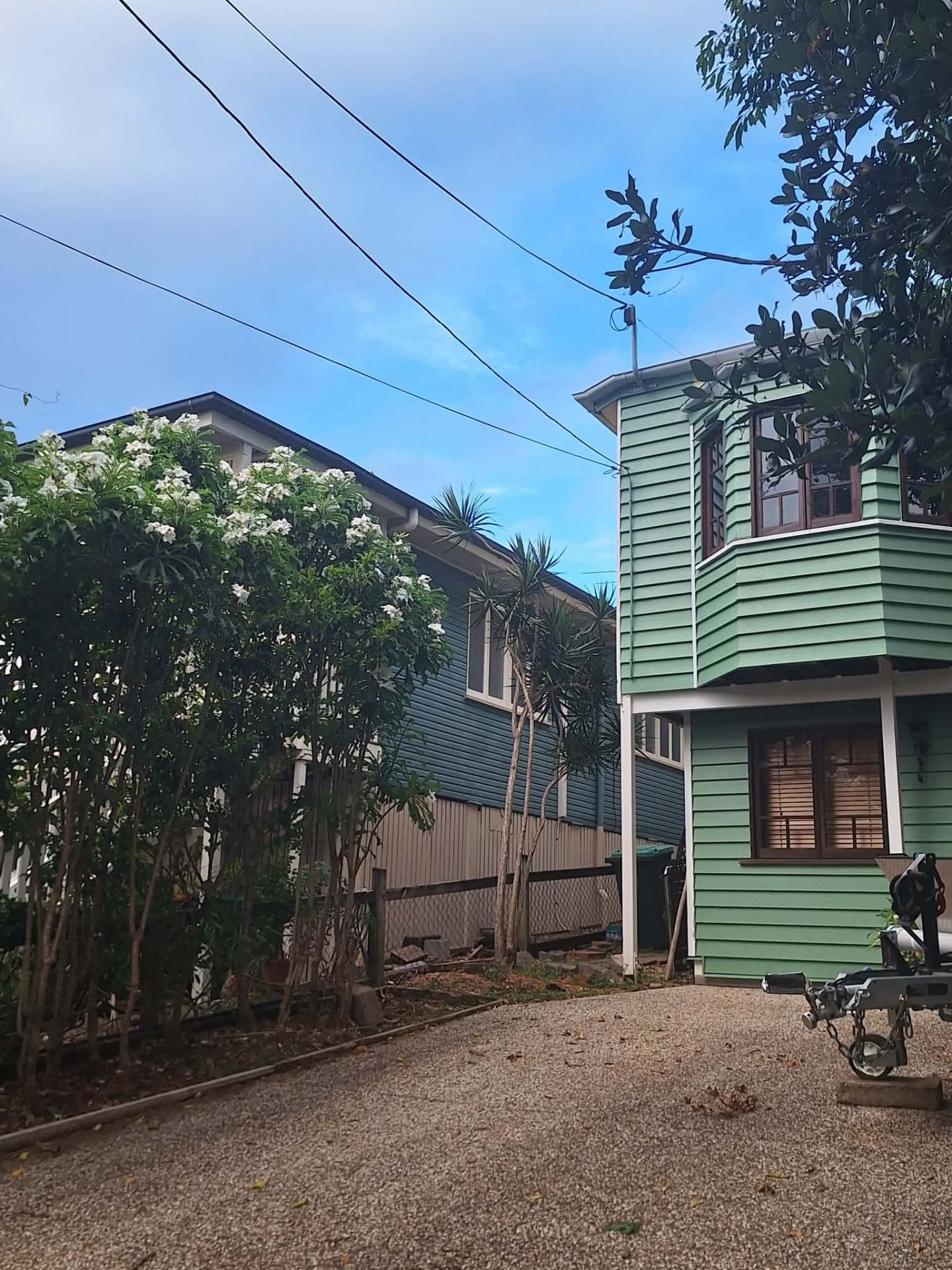 Clean driveway after palm removal next to green Queenslander