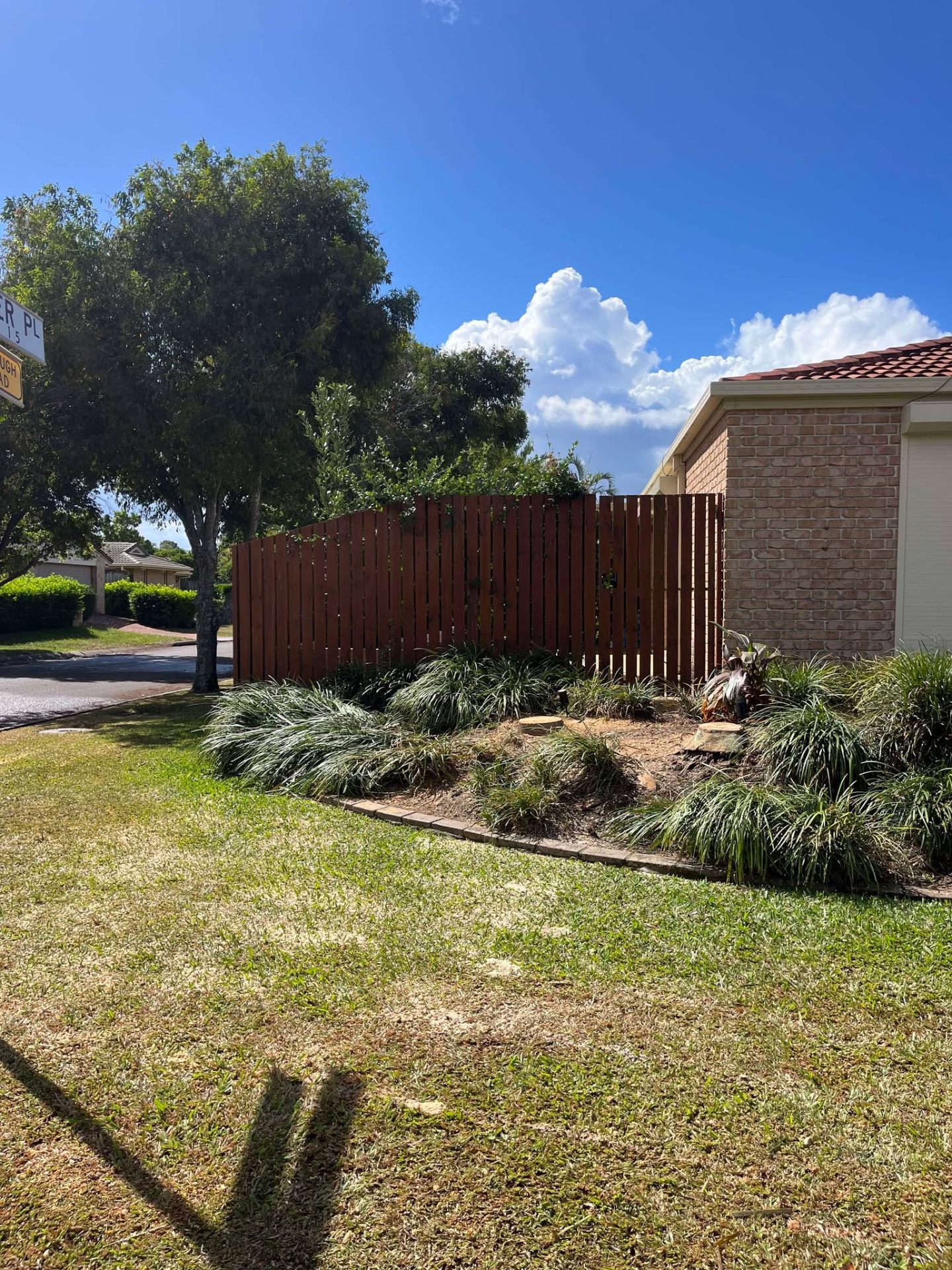 Clean Redlands front yard with blue sky after the two Alex Palms were removed