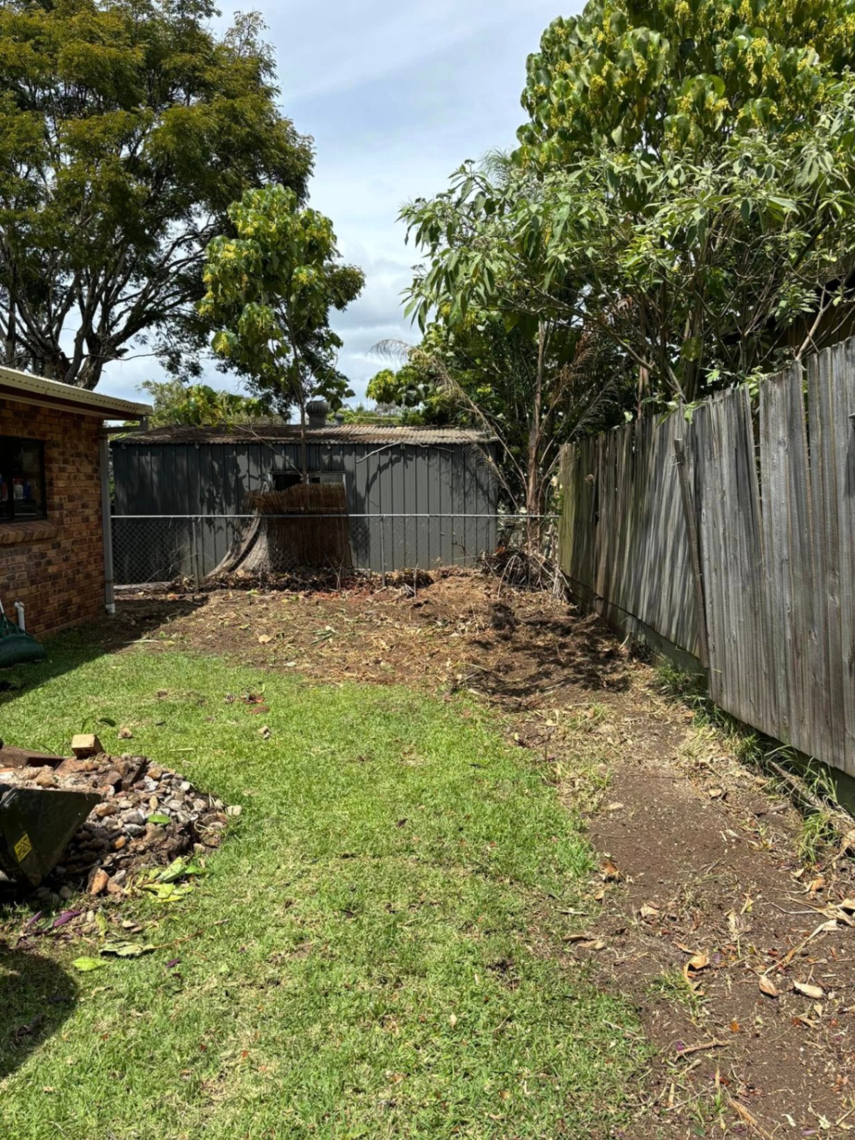 Backyard after clearing overgrown vegetation